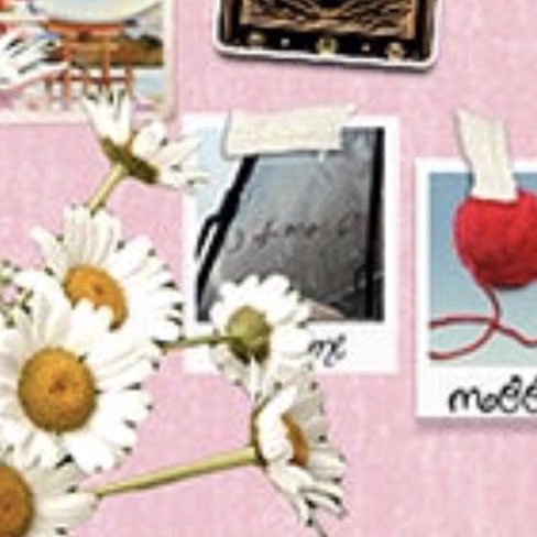 Update Olivia Brasil tweet media