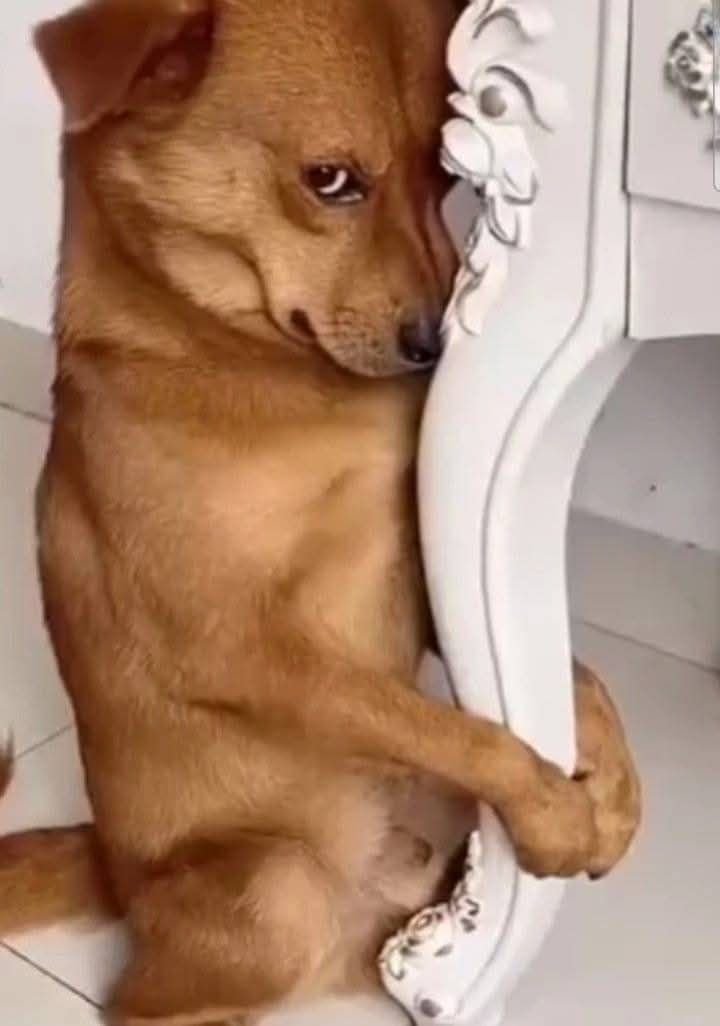 vien⁷ 𐙚⋆ | 🪭 tweet media