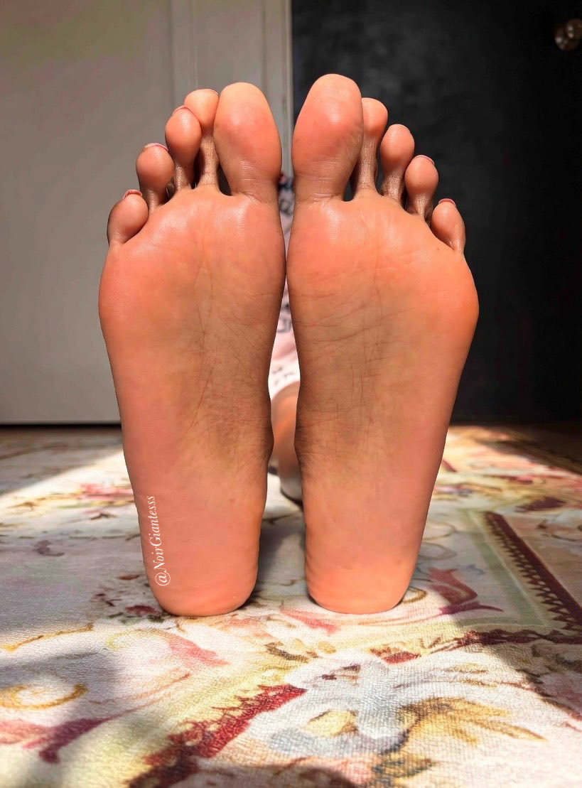 Noir Giantess tweet media