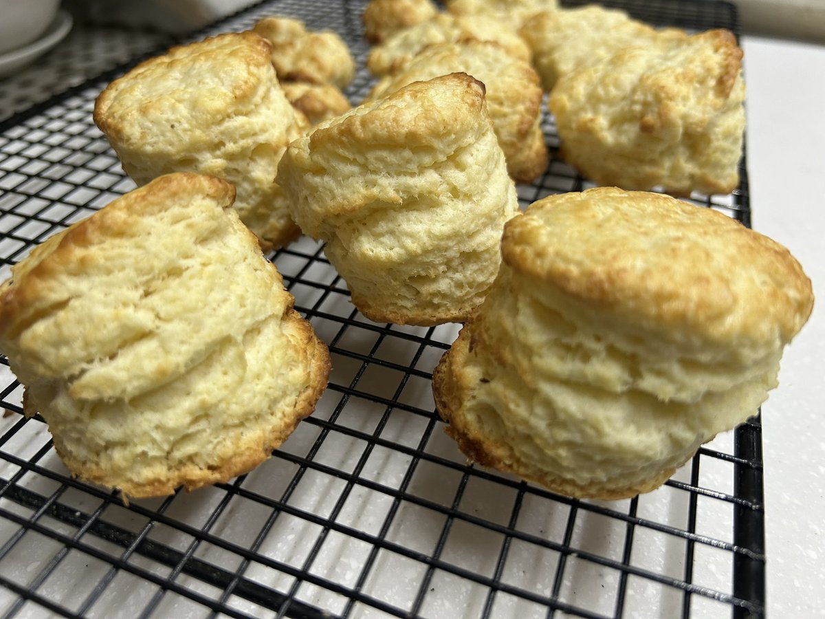 Kumi☆o tweet media