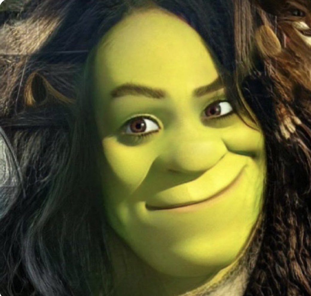 Sophie Turner stan tweet media