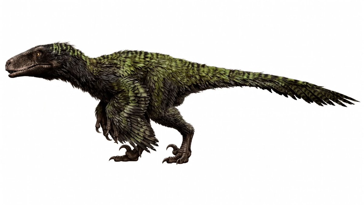 Savvie🦉🦖 tweet media