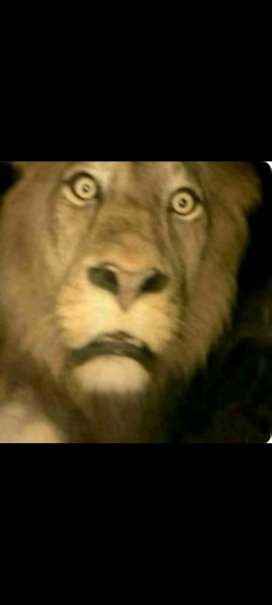 Martin Eden tweet media