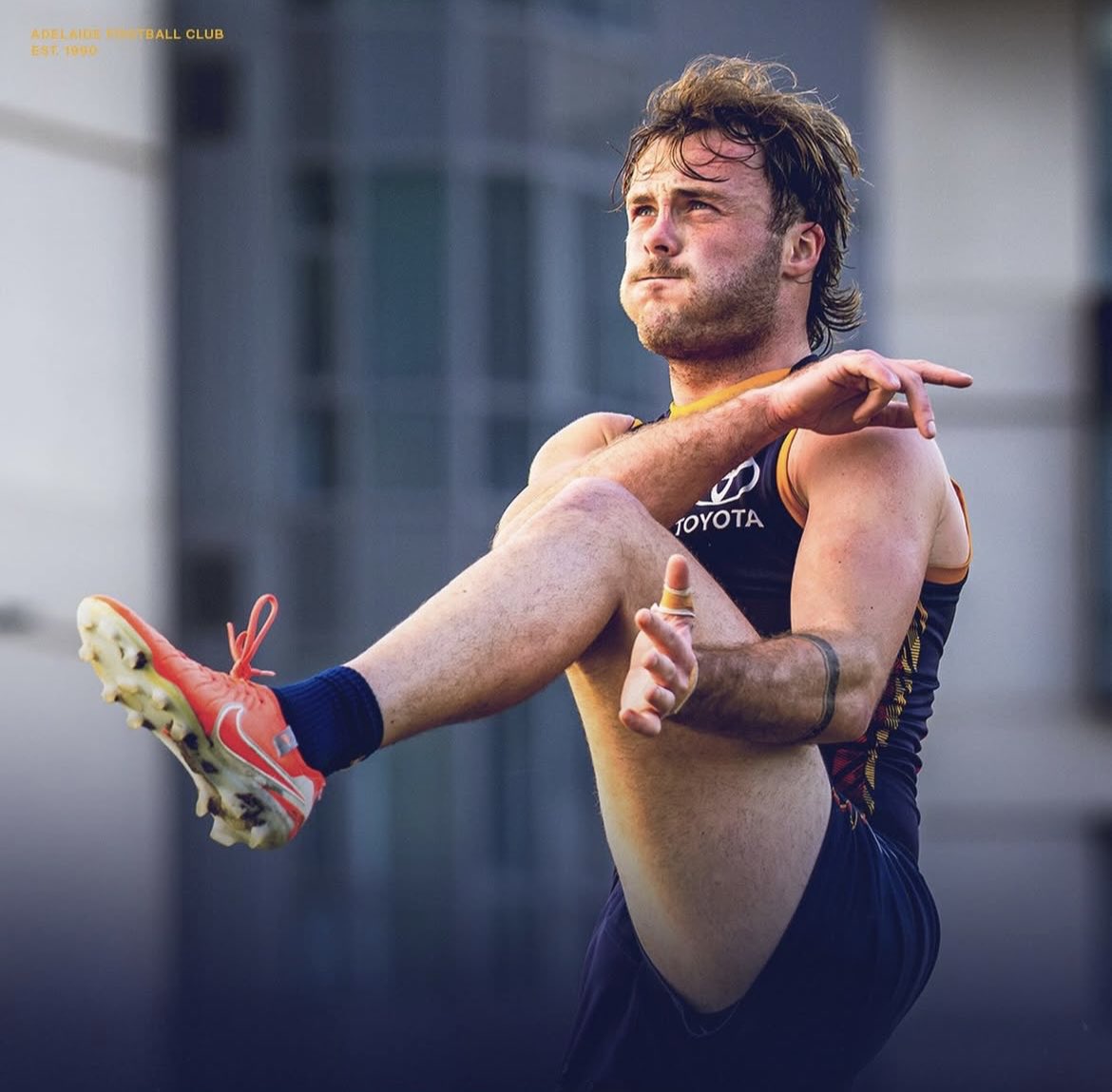 Crickettragic tweet media