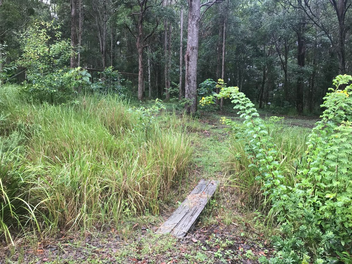 Miki @TheOrdinary.Love tweet media