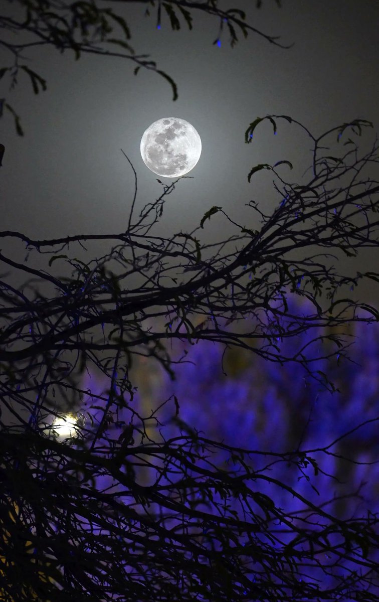 طبيب 💜 الإحساس💜 tweet media