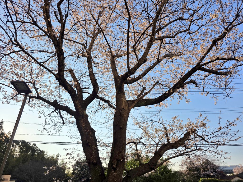 beatcrazy tweet media