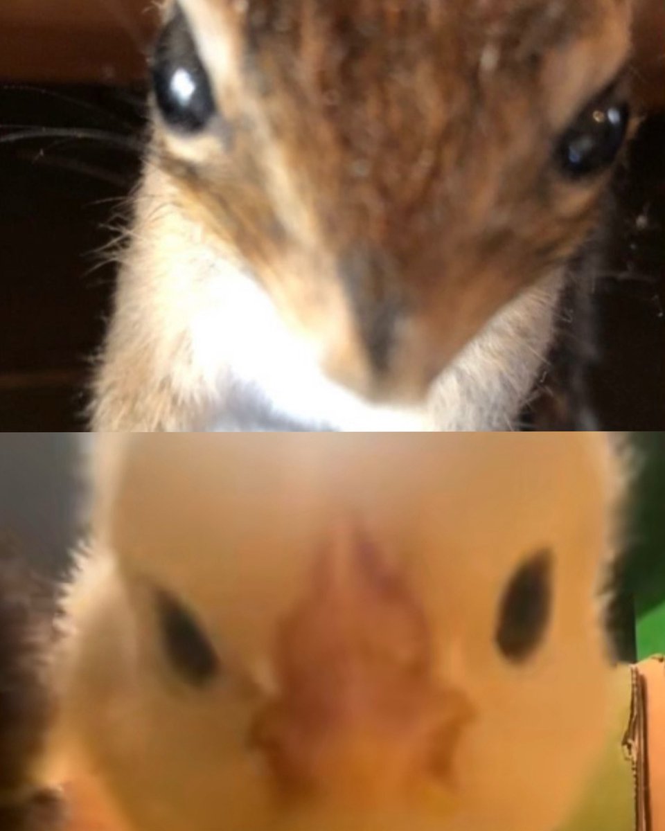 natálie ಇ. tweet media