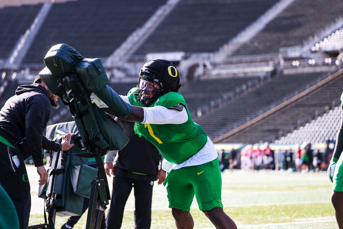 Bear Alexander tweet media