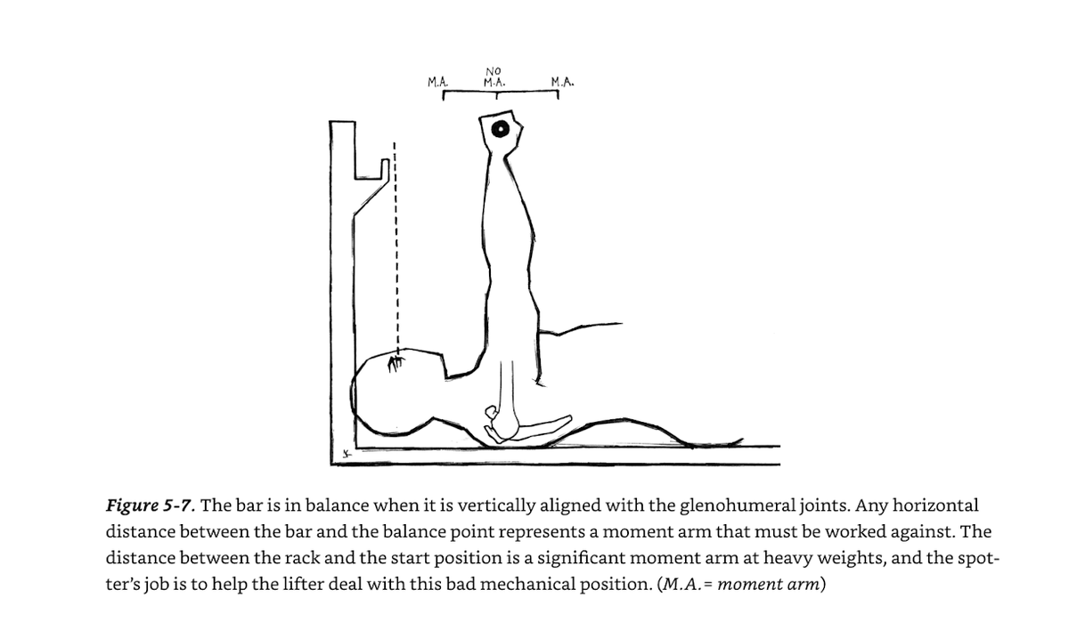 Starting Strength tweet media