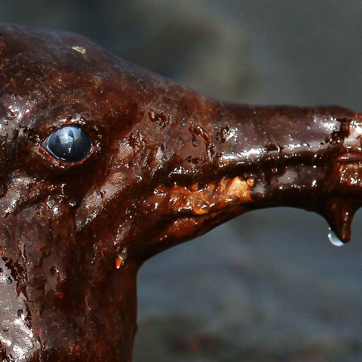 Keith Fry 🌎 tweet media