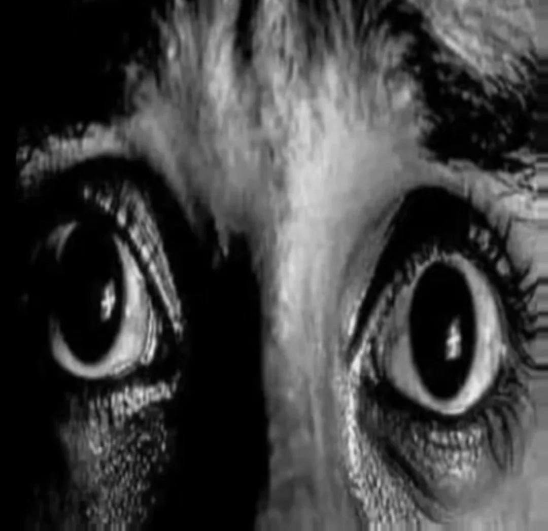 Twizzy💙 tweet media