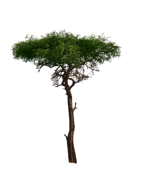 Ryan Senger tweet media