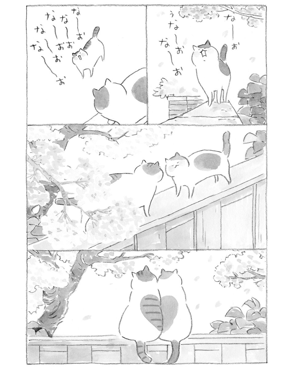 ねこまき倉庫 tweet media