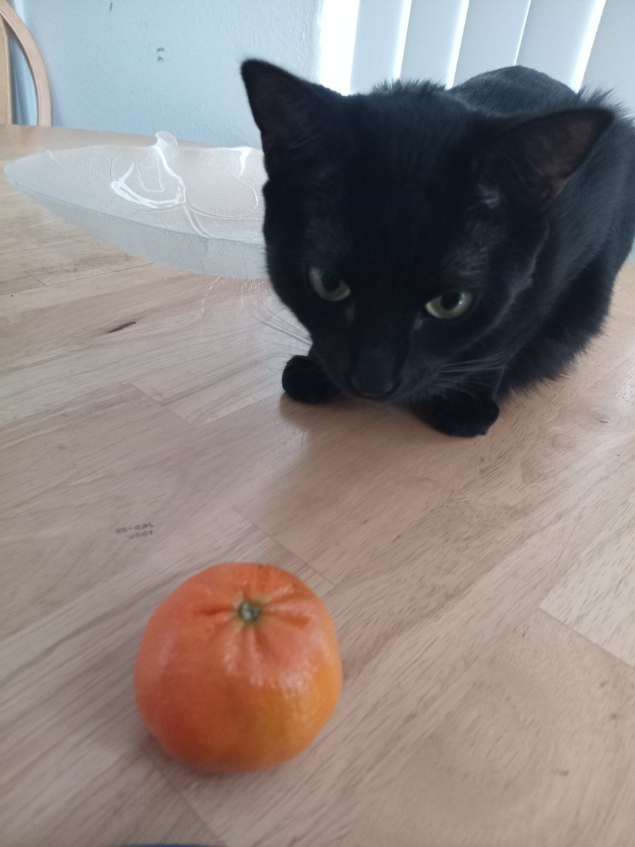 Cishet White Man tweet media