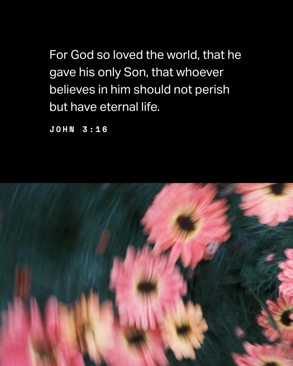 John 3:16