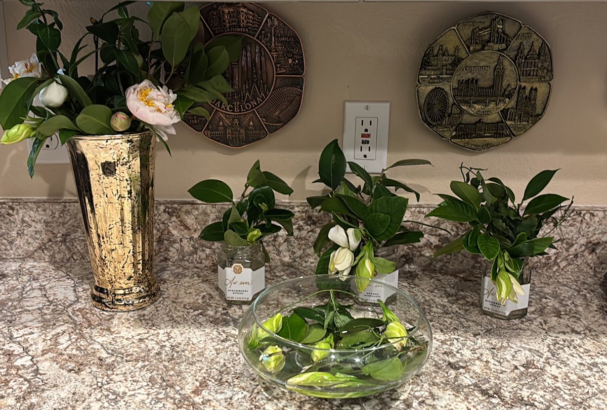 JoDiva and ZuZuDivo/Abhorrent Brazen Hussies tweet media