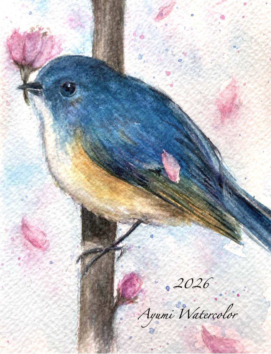 あゆみ tweet media