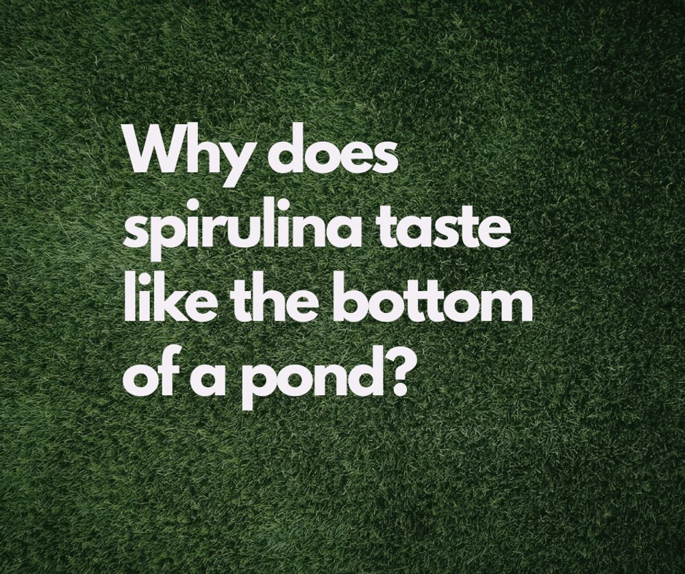 NASA looked into spirulina for space missions because it's like a biological sponge.  

It binds to heavy metals and toxins in your gut, helping escort them out before absorption.  

But cheap spirulina = concentrated pond toxins.  

Quality matters when you're literally eating