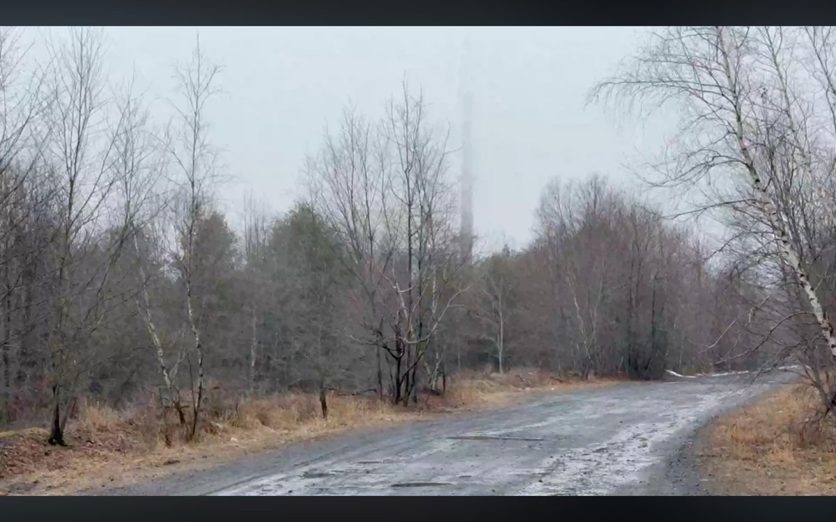 Stephen Zeiner tweet media