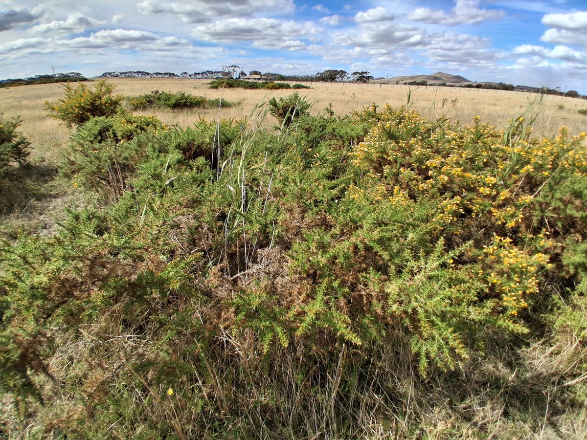 Agvocate_Au tweet media