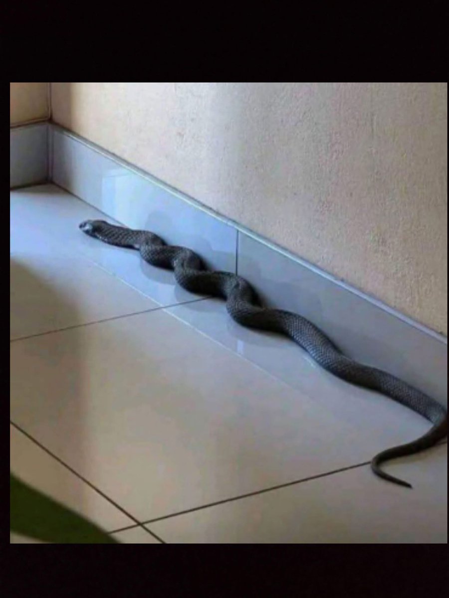 Ron wright tweet media