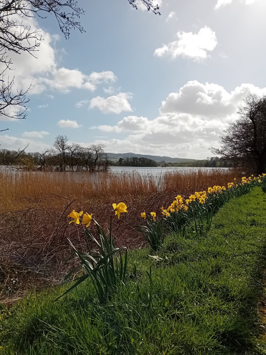 Lesley-Ann Irving tweet media