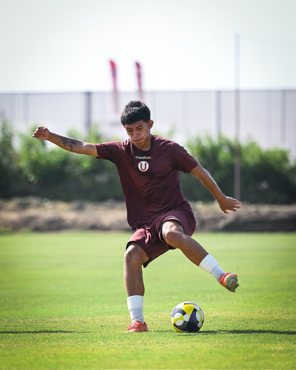 Divisiones Menores - Universitario tweet media