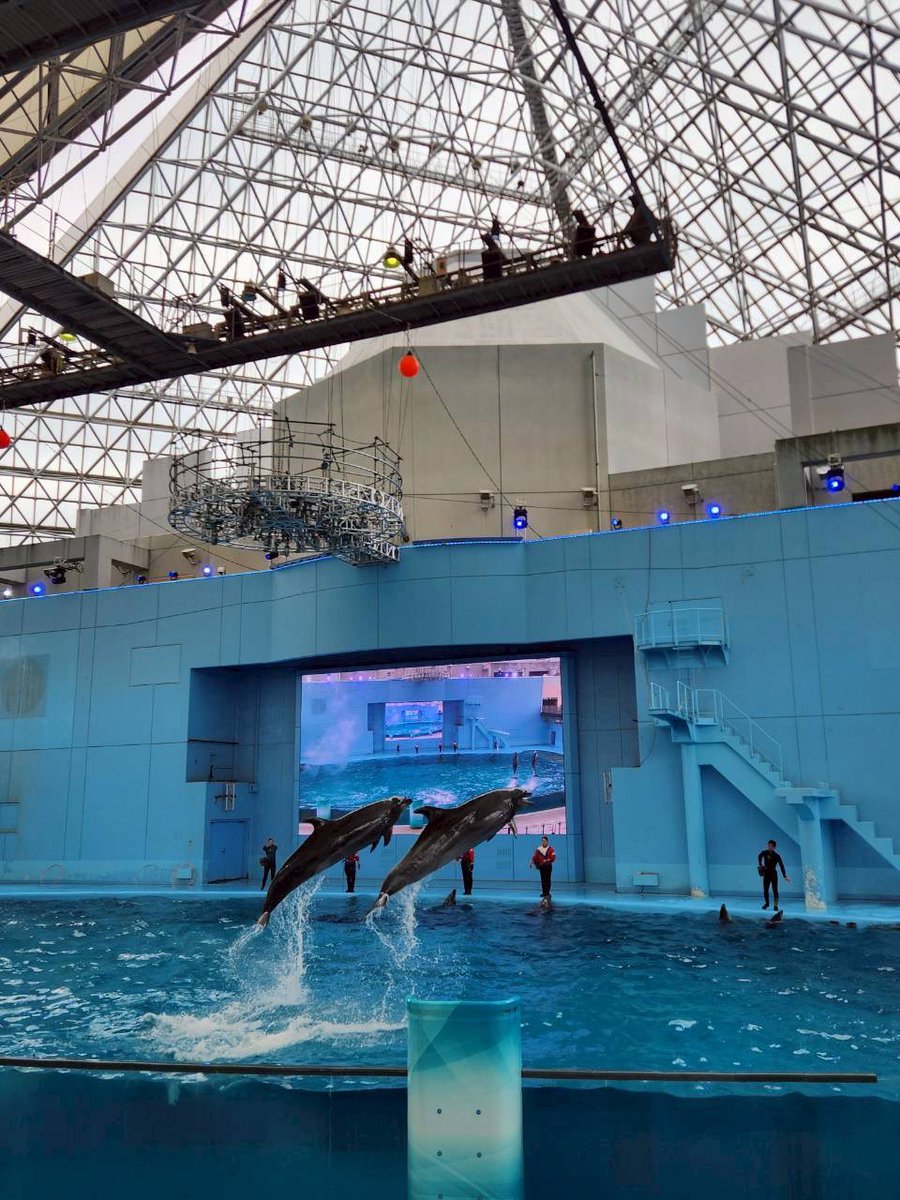 美元智衣 tweet media