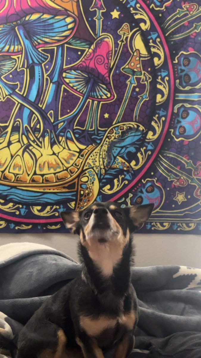MungJdink's tweet photo. BIG STRETCHHHH!! https://t.co/Wg4cXofkig
