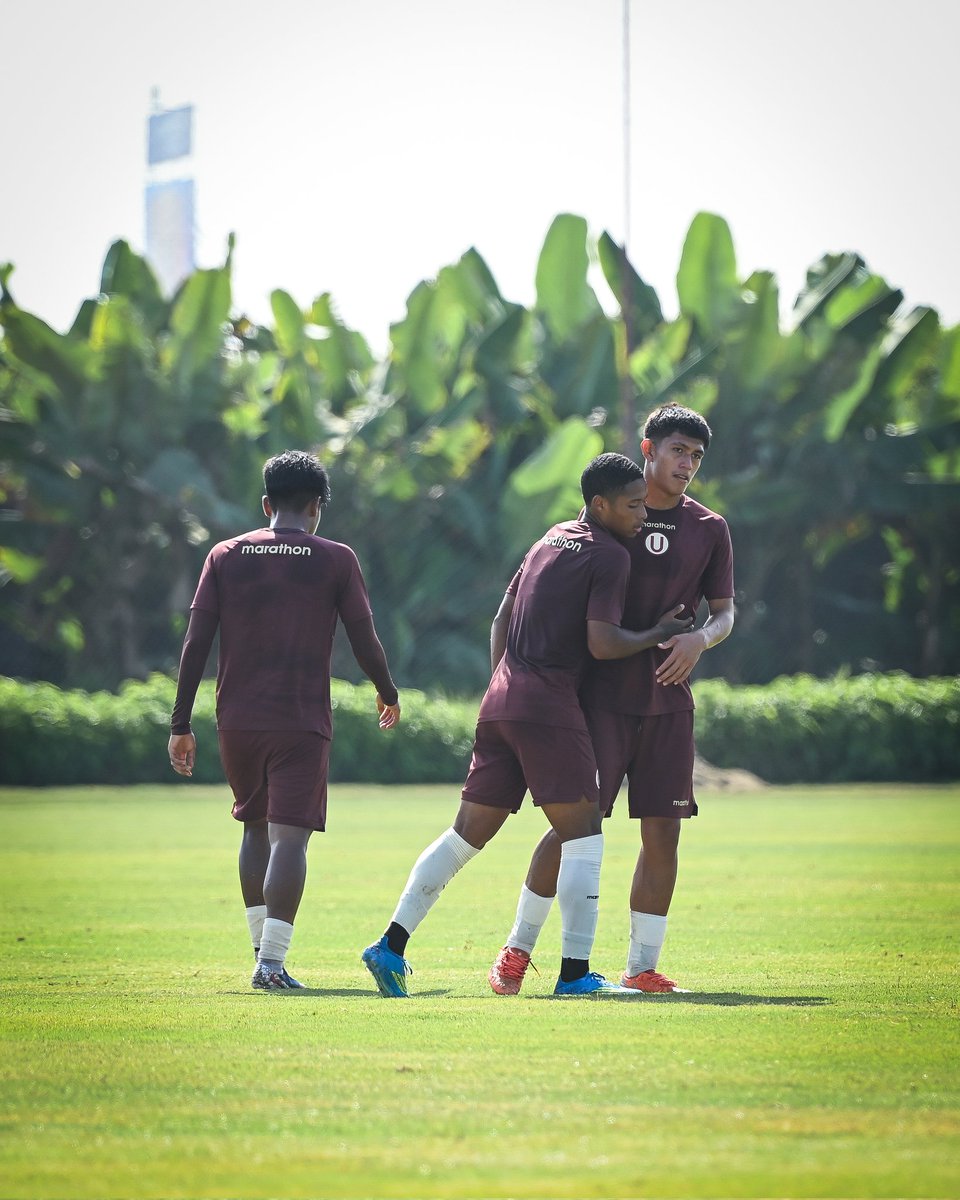 Divisiones Menores - Universitario tweet media