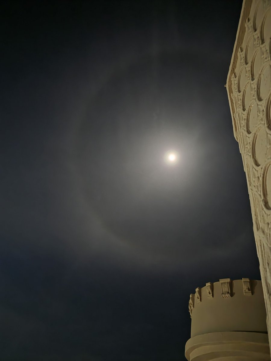 Fatma̴ ̴Abdulla̴̴h tweet media