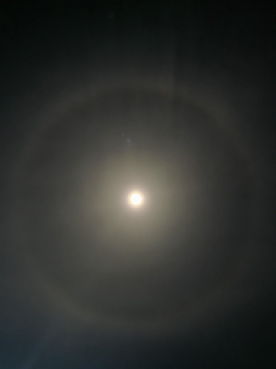 Fatma̴ ̴Abdulla̴̴h tweet media