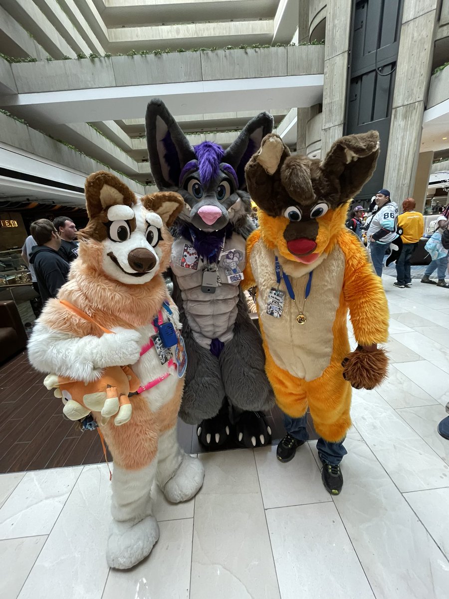 Andy Sheppy tweet media