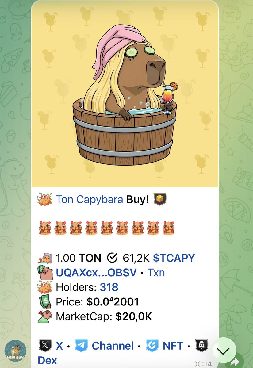 Ton Capybara tweet media