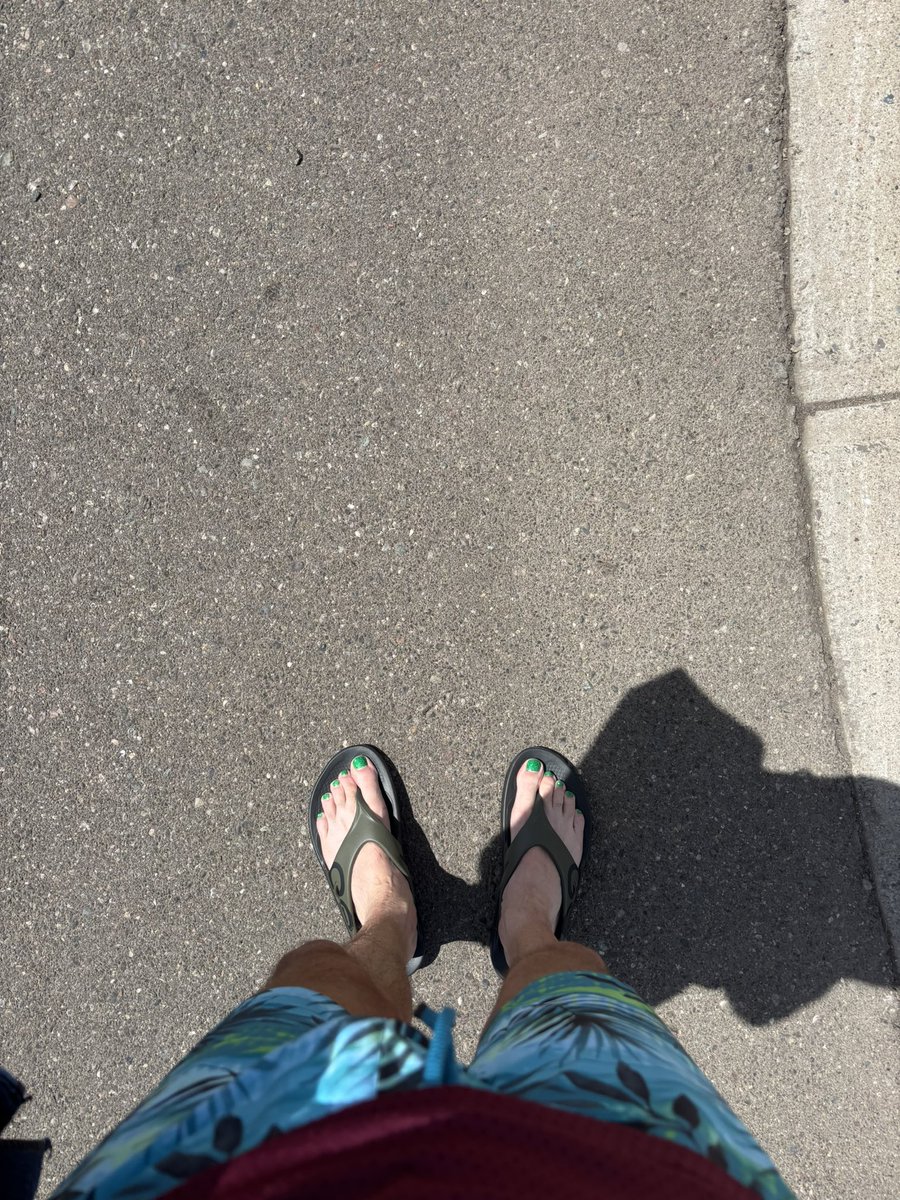 shannon bryan tweet media