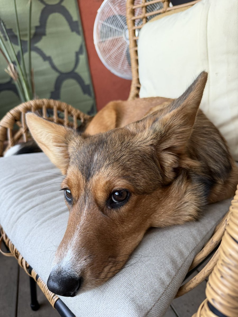 Dusty Pee tweet media