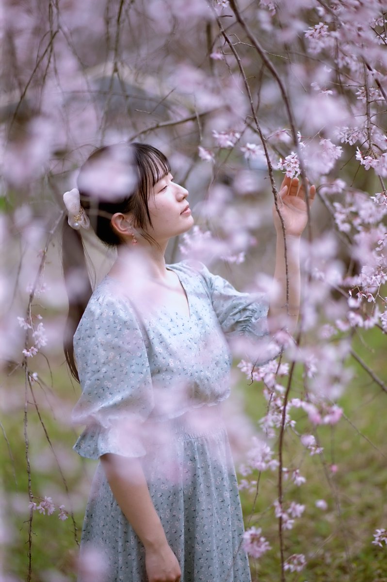 海坊主 tweet media