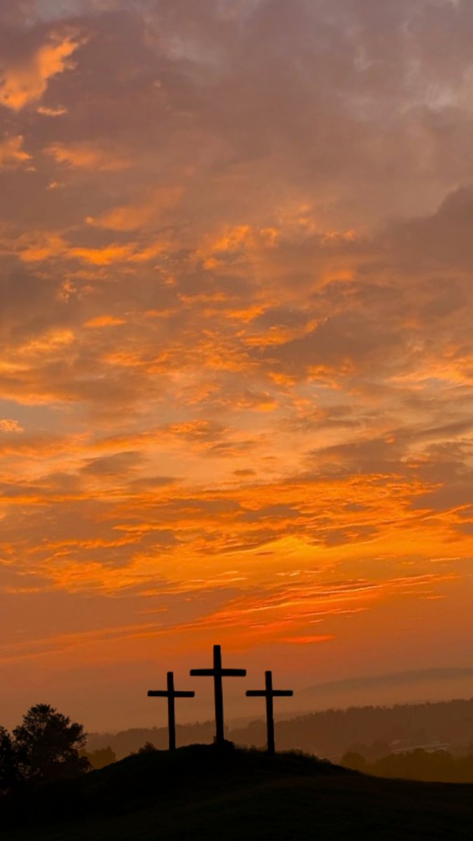 Cora A. Harris 🔬 tweet media