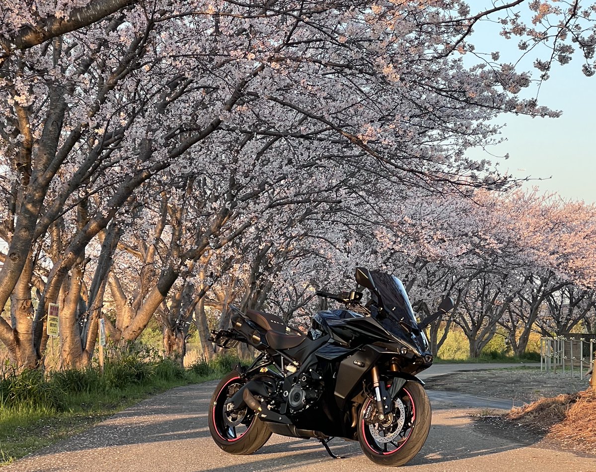 天然パーマ tweet media