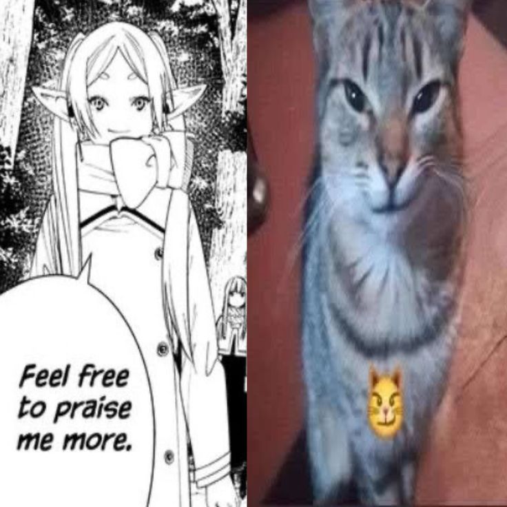 Anime Daily tweet media