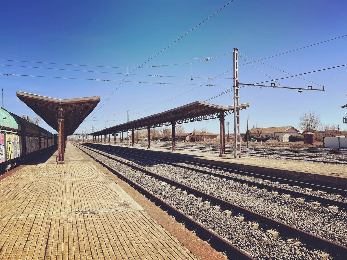 clip5🏳️‍⚧️ tweet media