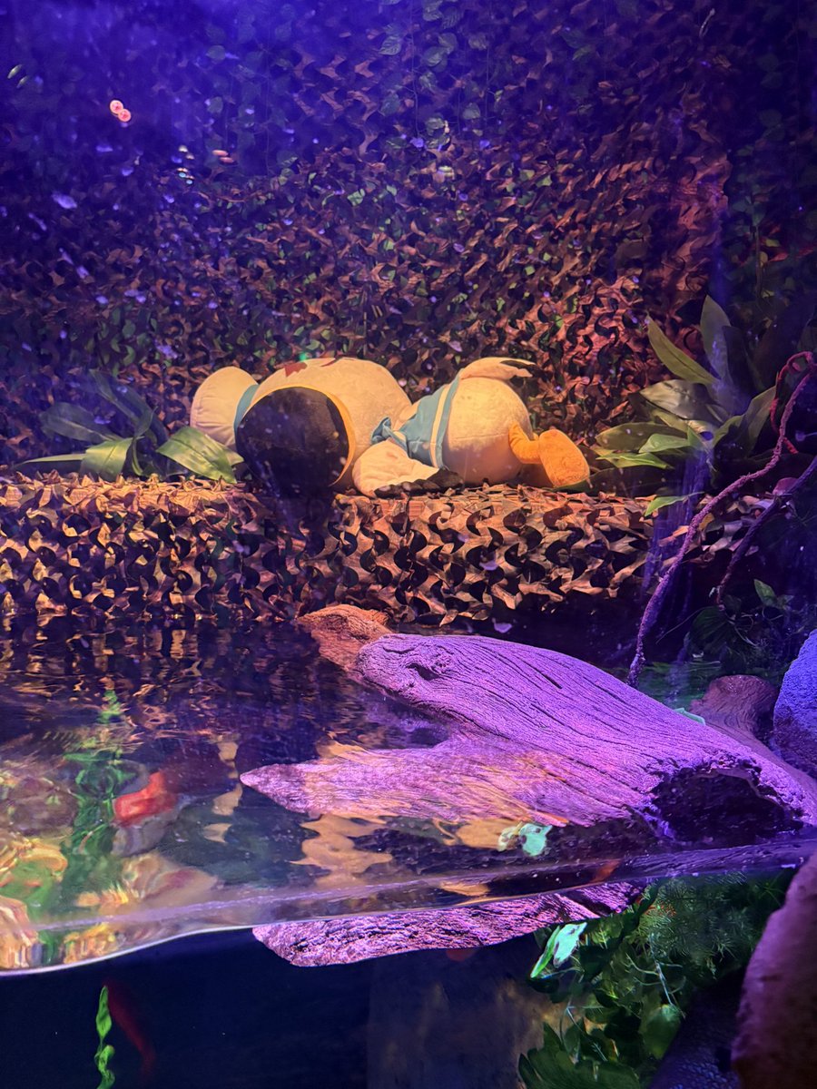 Kaylaa44 tweet media