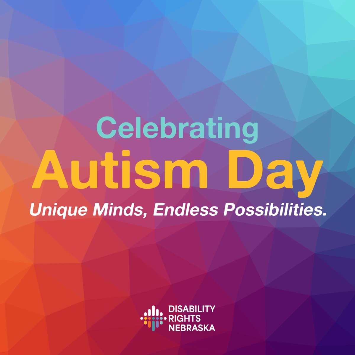 Disability Rights NE tweet media