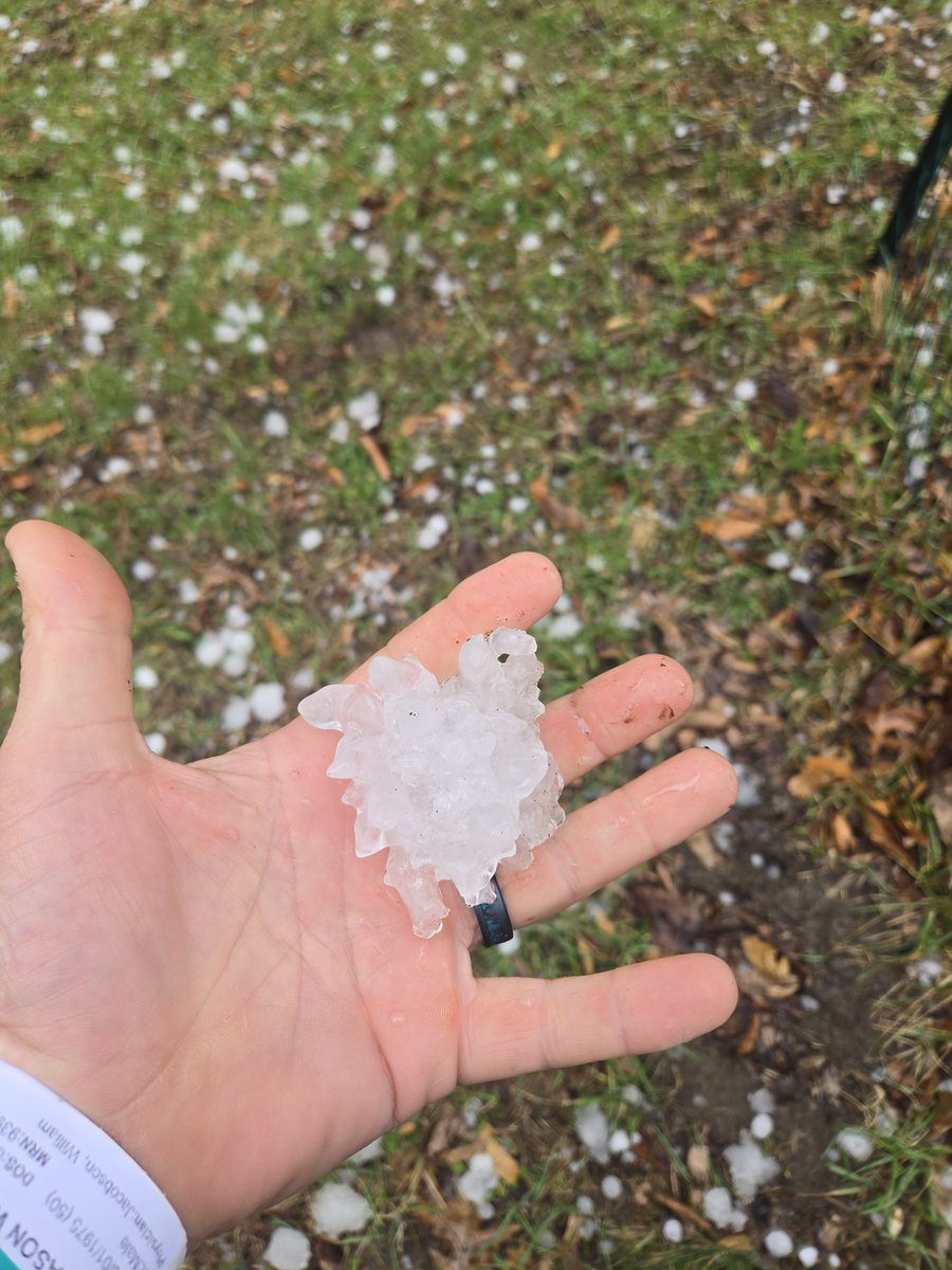 Iowa Hunter tweet media