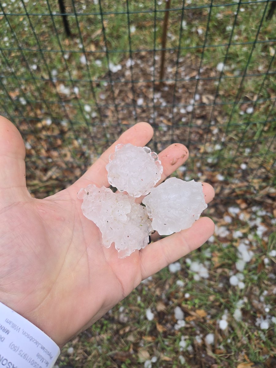 Iowa Hunter tweet media