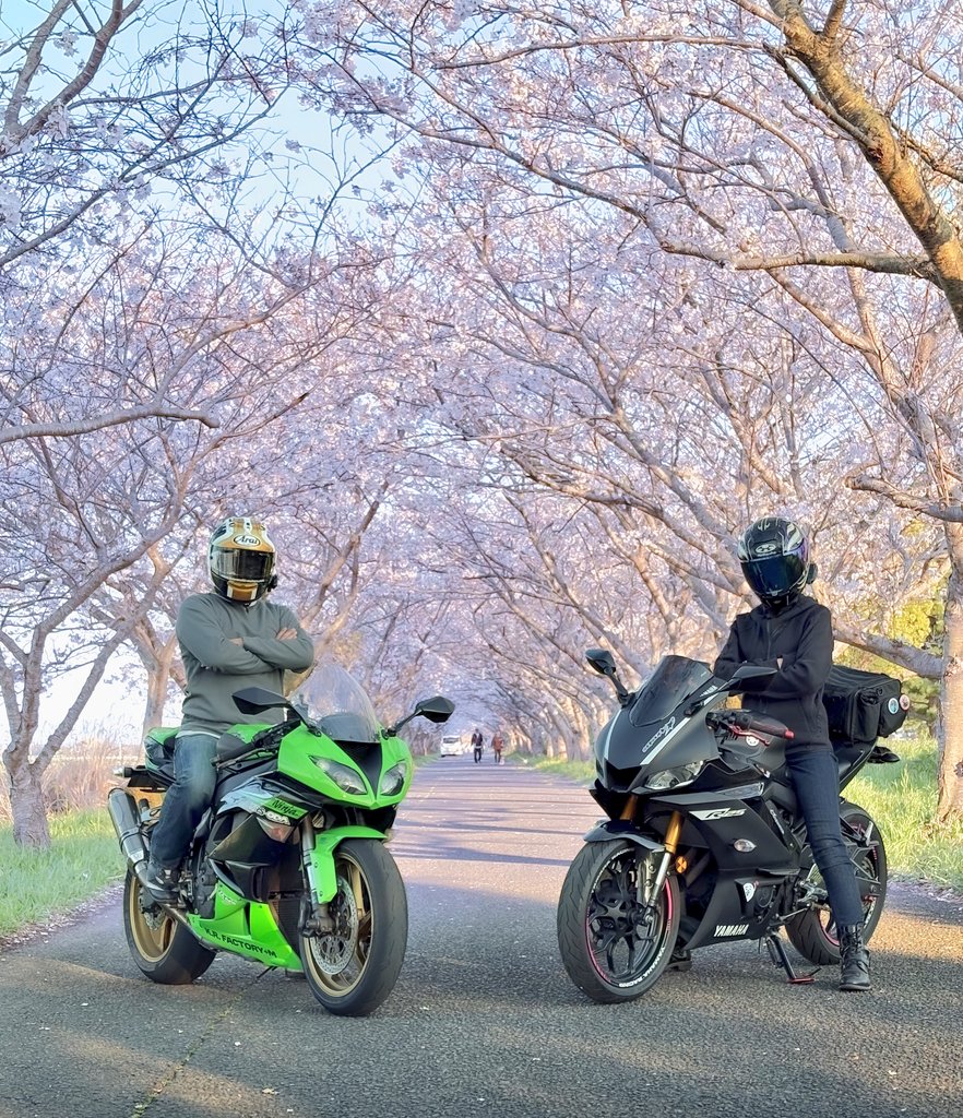 nico ringo🍎 tweet media