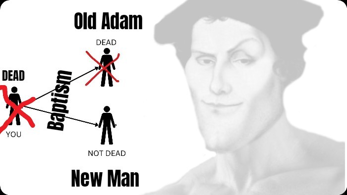 🦬 𝕸𝖆𝖙𝖙𝖍𝖊𝖜 𝖙𝖍𝖊 𝕷𝖊𝖘𝖘𝖊𝖗 🦬 tweet media