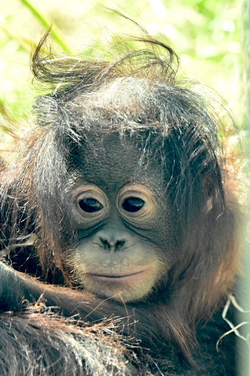 🧸 LAUREN 🧸 tweet media