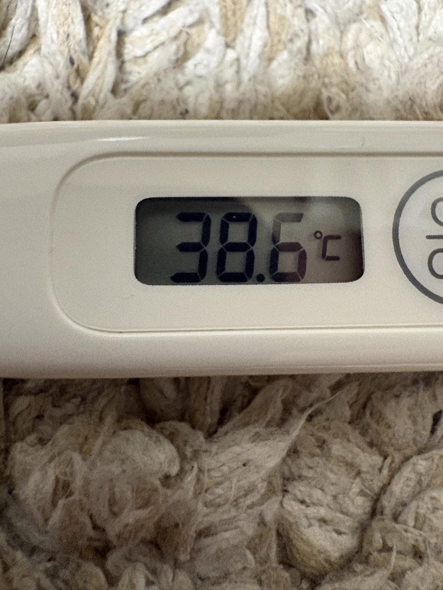 Bot屋チャンネル tweet media